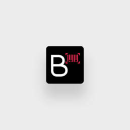 Logo Besson Mobilité